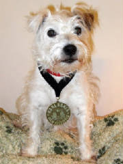 libbyanimalactressaward.jpg