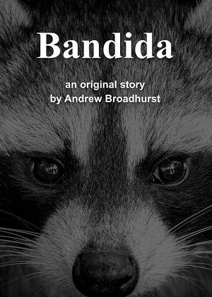 bandida-script-web.jpg
