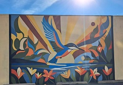 mural-bird-nbn-sarah-turner-web.jpg