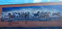 mural-horses3-best-ctr-web.jpg